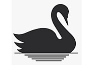 Black Swan Consultoria